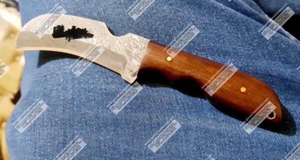 Photo_1628116342736 Hawkbill knife