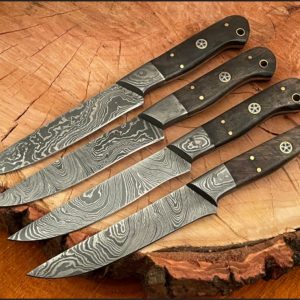 steel steak knives set